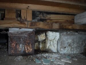 お風呂場床下食害
